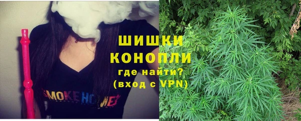 трава Абаза
